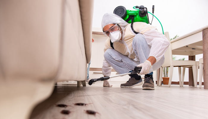 Pest Control in Brookside, al