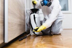 silverfish control service