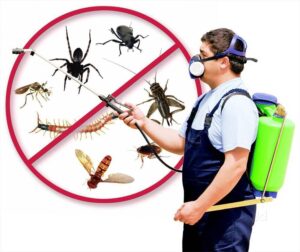 millipedes control service