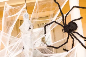 spider control services